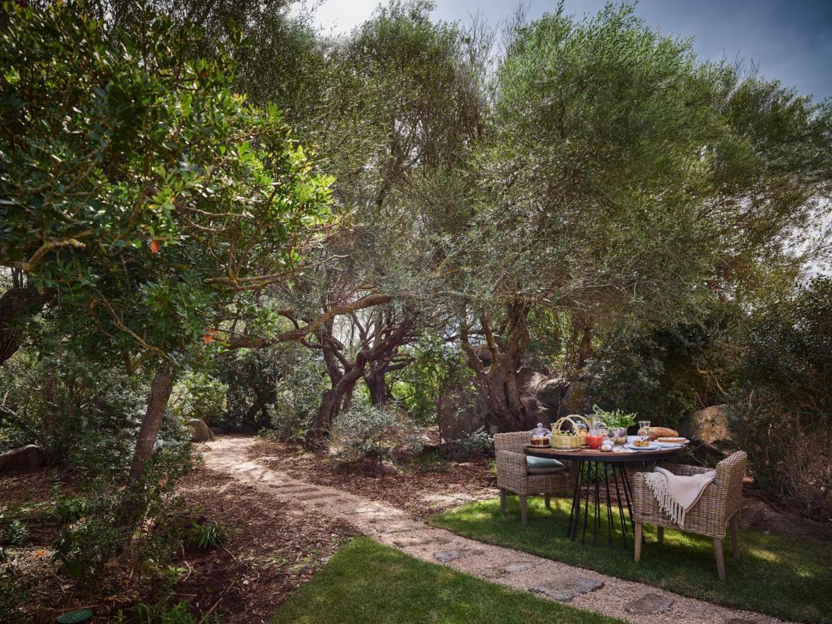 فندق Cascioni Eco Retreat أرتْساكينا المظهر الخارجي الصورة