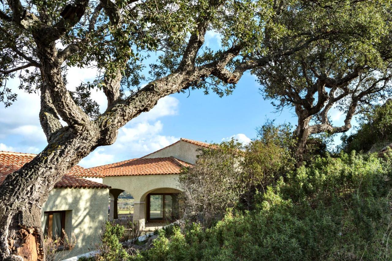 فندق Cascioni Eco Retreat أرتْساكينا المظهر الخارجي الصورة