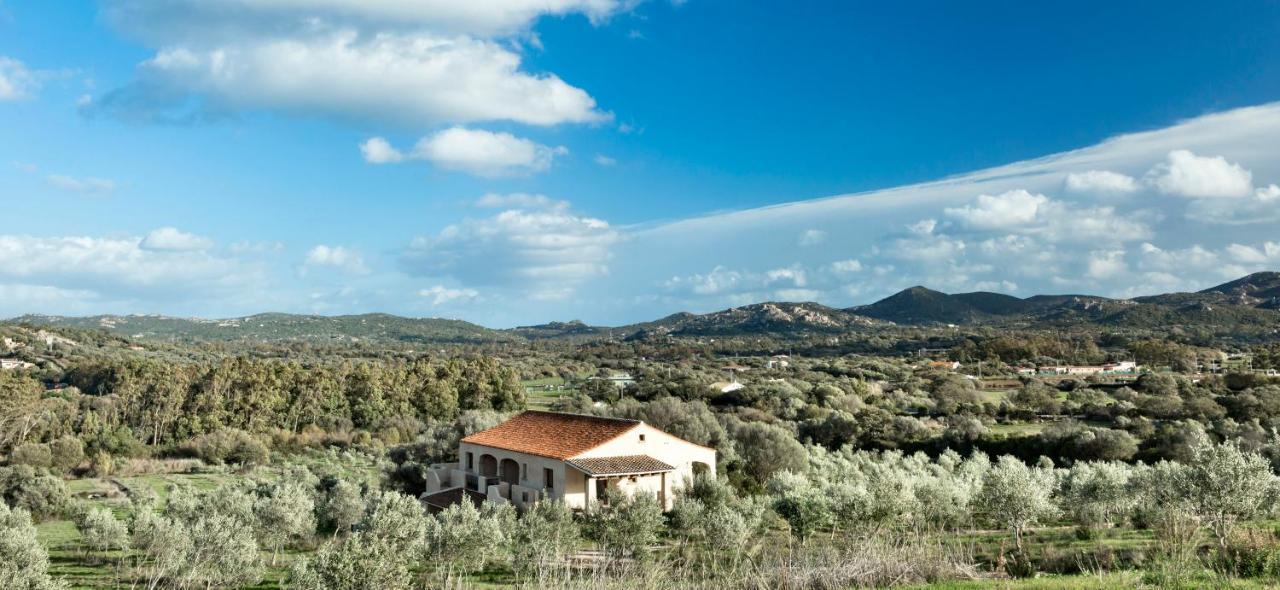 فندق Cascioni Eco Retreat أرتْساكينا المظهر الخارجي الصورة